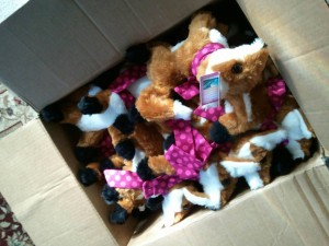 1273912_10151869862960902_22250125_o